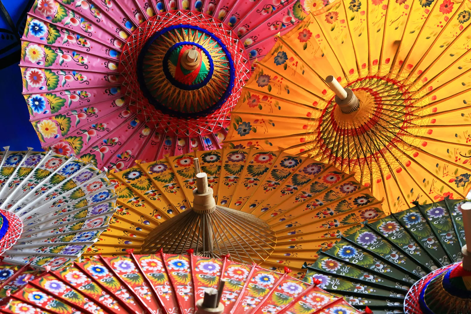 Hand-painted paper umbrellas drying in rows at Bo Sang village near Chiang Mai