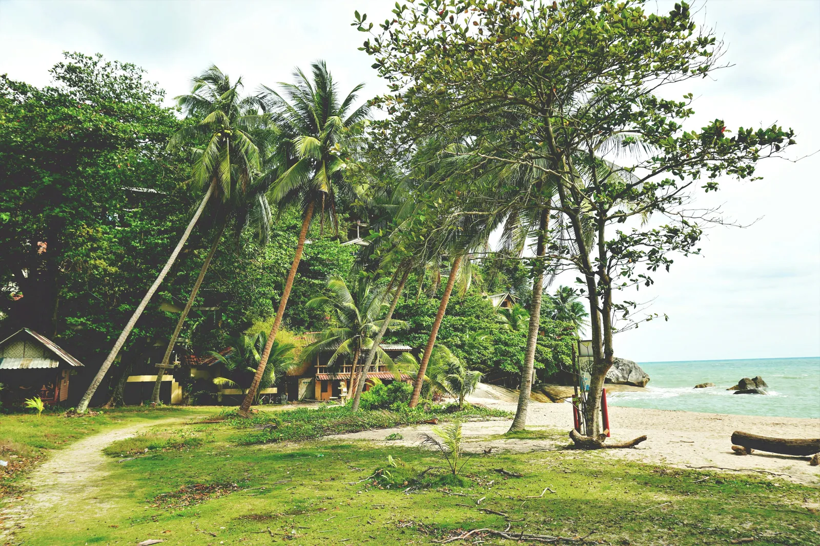 A quiet daytime beach on Koh Phangan, Thailand, with tall palm trees, small wooden huts and a grassy path leading down to calm turquoise water