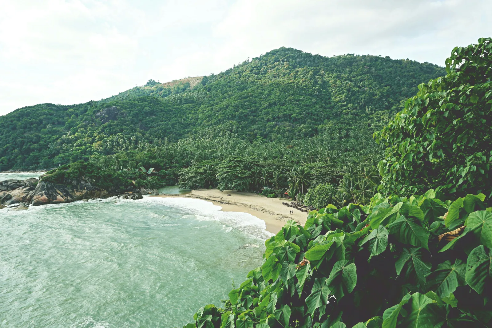 A calm palm-lined bay with clear shallow water on the west coast of Koh Phangan, Thailand, in daylight