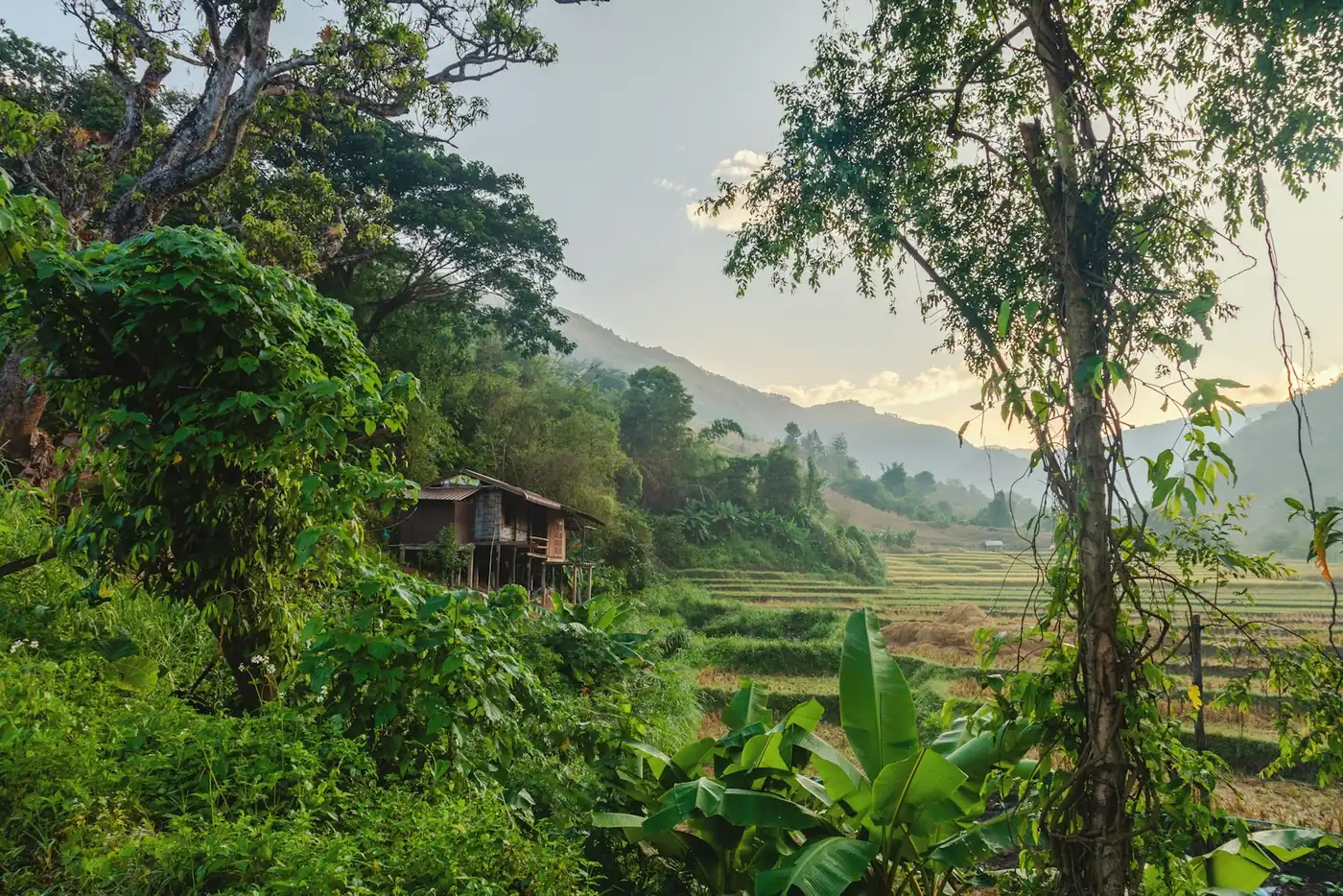 Green mountains and rice fields in northern Thailand