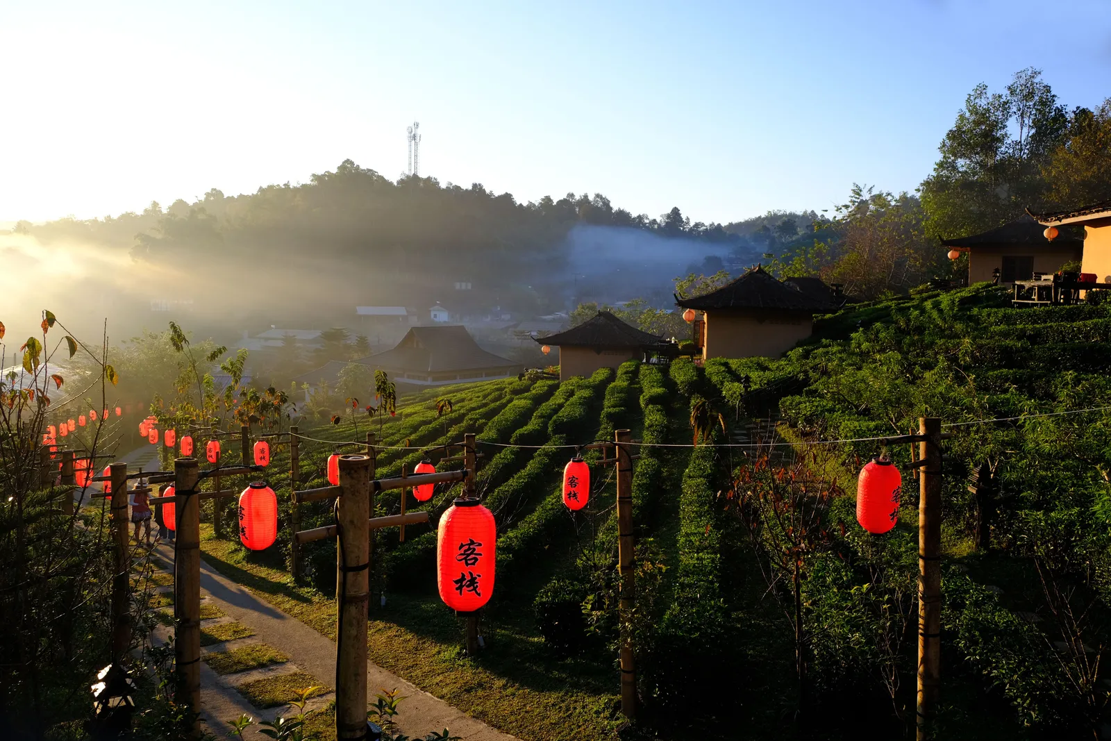 Terraced green hills and forested mountain ridges in Mae Hong Son province, northern Thailand, under morning light