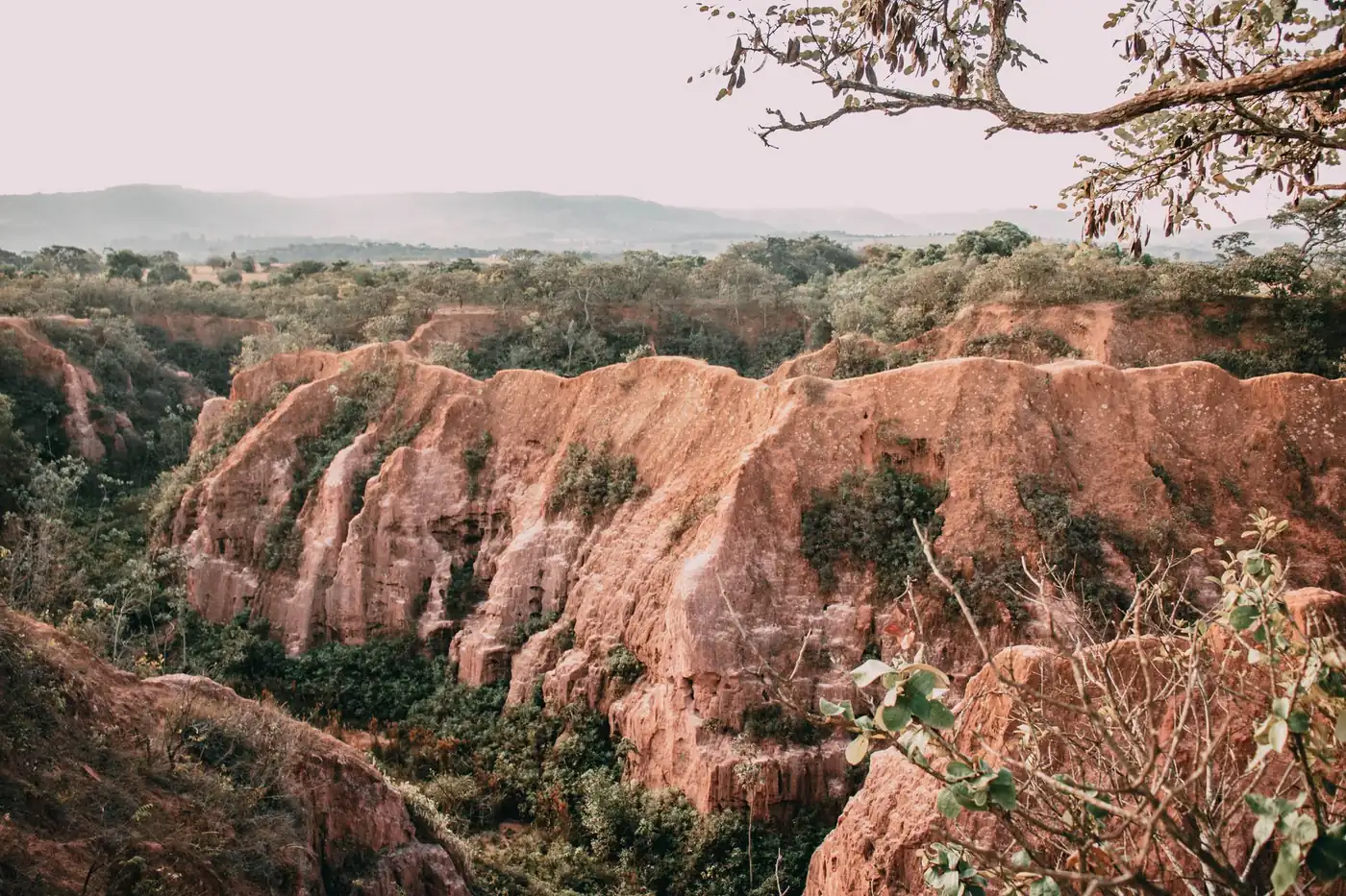 Eroded red earth ridges in a canyon surrounded by green vegetation