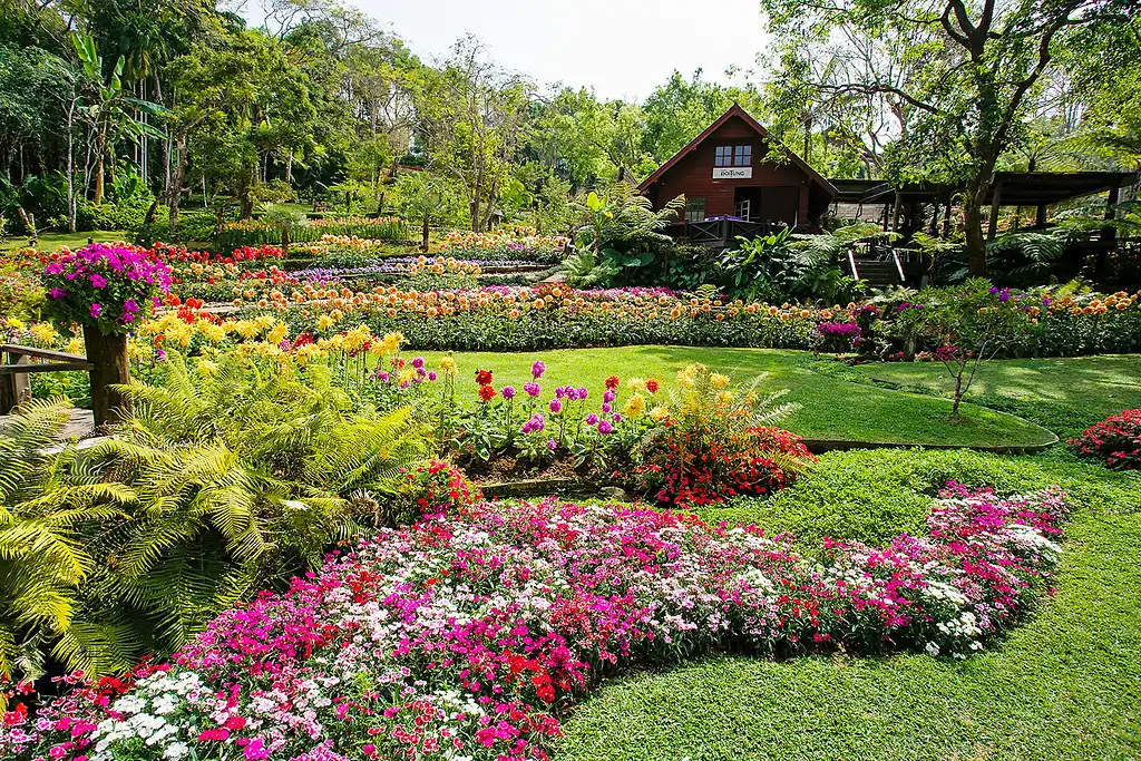Flower beds in the Mae Fah Luang botanical garden