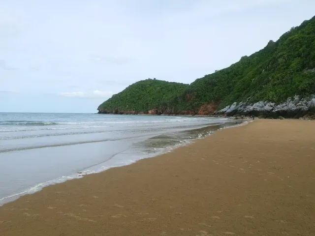 Wet sand and breaking waves facing a green headland, gray sky above