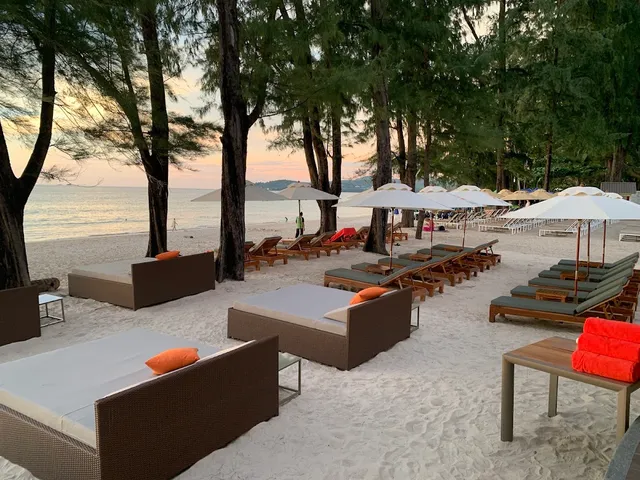 Daybeds and sunloungers on white sand among pine trees, facing the sea at sunset