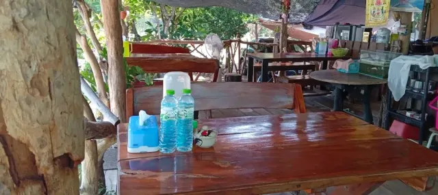 A glossy wooden table with water bottles and a spice bowl, and benches under trees