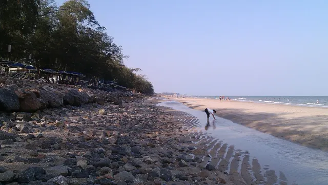 Wet stones in the foreground, trees and parasols on the left and a long sandy beach