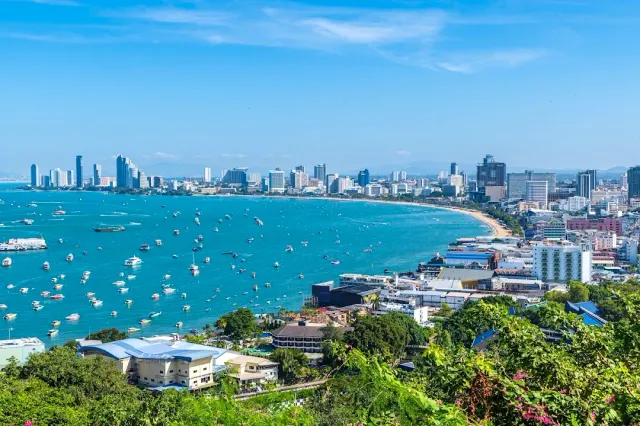 A curving bay with dozens of boats, a line of white towers and vegetation in the foreground