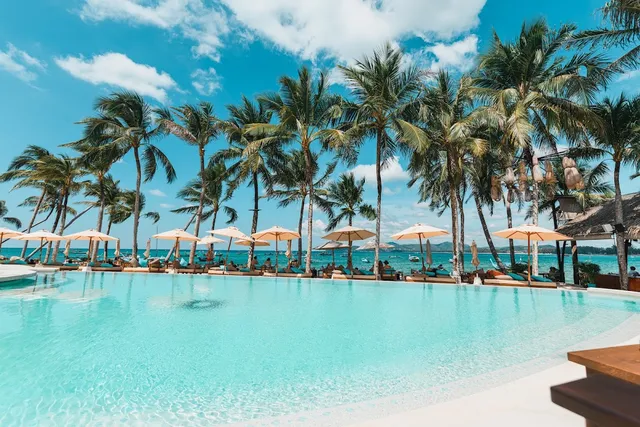A wide infinity pool surrounded by palm trees and straw parasols facing the sea