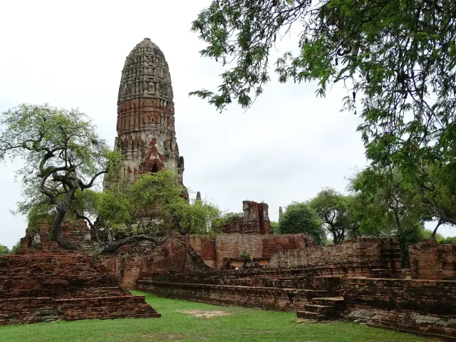 A weathered brick prang standing among trees and low ruined walls