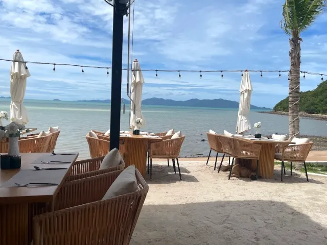 Wooden tables and rattan armchairs on the sand facing the sea, a string of lights and a resting dog