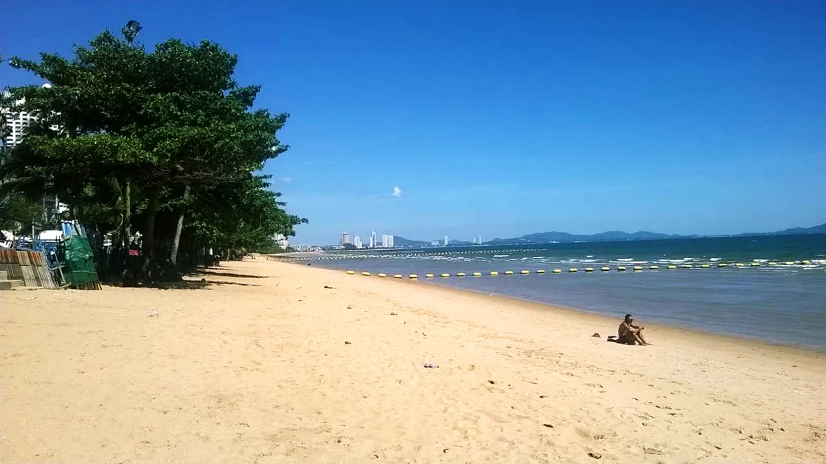 A wide golden sand strip with shade trees at its edge, blue sea and a city skyline on the horizon