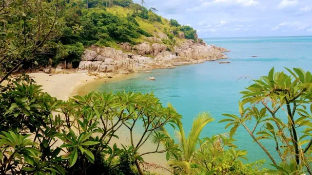 A small sandy cove between granite rocks and turquoise water, framed by green branches