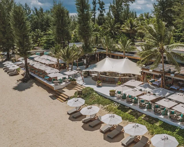 An overhead view of rows of sunbeds and white parasols beside a bar tent among pine trees