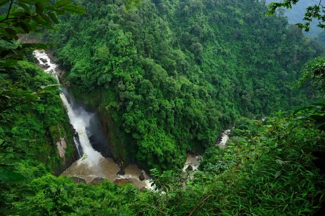 A tall waterfall dropping in steps inside a dense green rainforest gorge