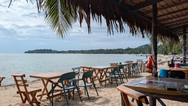Wooden tables on the sand under a thatched roof, with a palm frond and a sea view