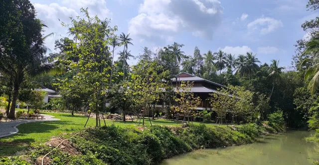 A wooden building among palms and young trees on the bank of a green stream