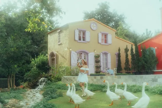 A yellow house with lilac shutters, a woman in a white dress and a flock of geese on the lawn