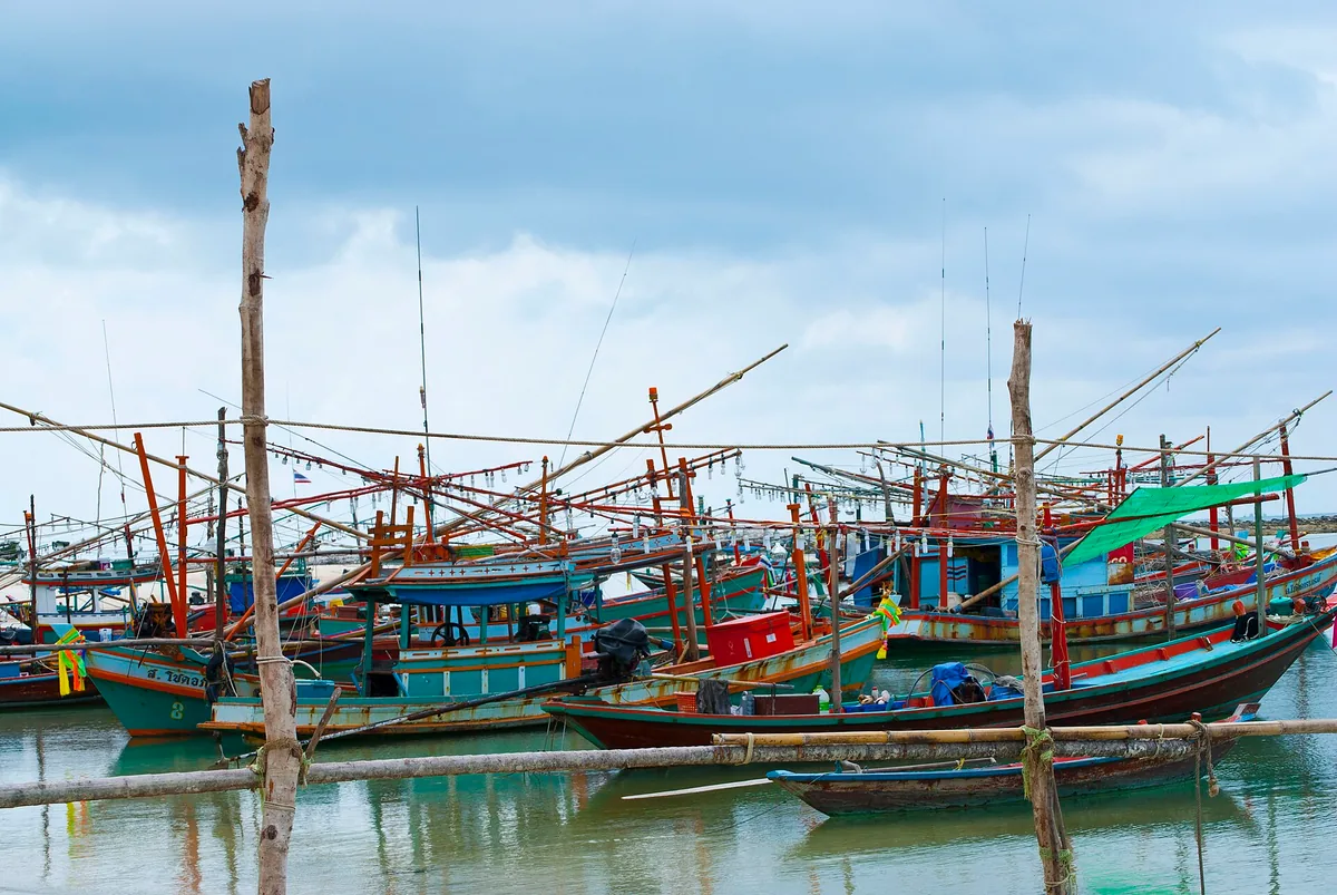 Colourful Thai fishing boats moored in Chaloklum Bay in the north of Koh Phangan