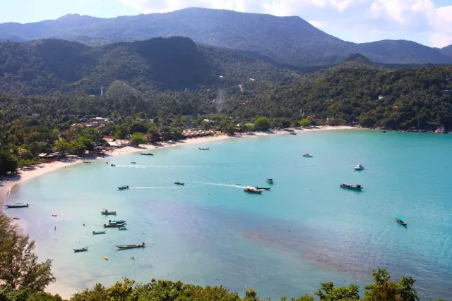 A hilltop view over a wide bay with boats, a village and forested hills