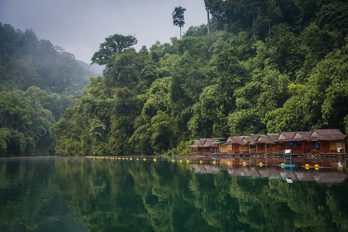 Wooden raft houses on a green lake, below a dense jungle slope wrapped in haze