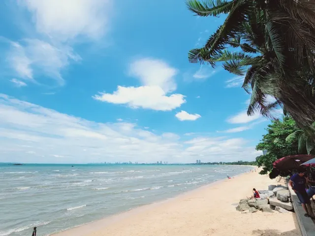 A curving sandy beach with palm fronds in the foreground and a distant skyline