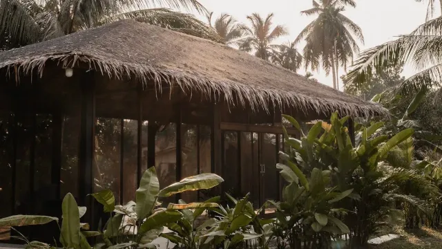 A wooden pavilion with a thatched roof and glass walls, banana leaves and palms in front
