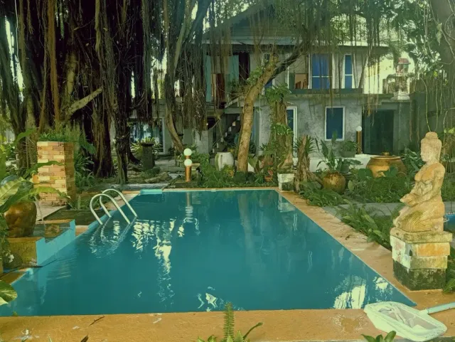 A turquoise pool in a yard with a banyan tree and hanging roots, a concrete building behind