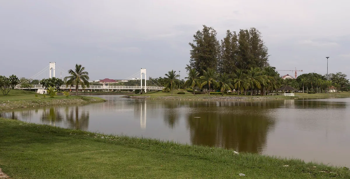 Calm city lake with a lawn, palms and a white pedestrian bridge