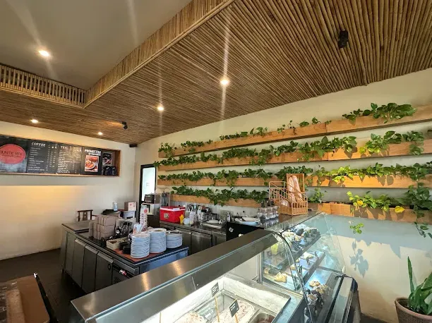 A bamboo ceiling, shelves of climbing plants on the wall, a menu board and a display case