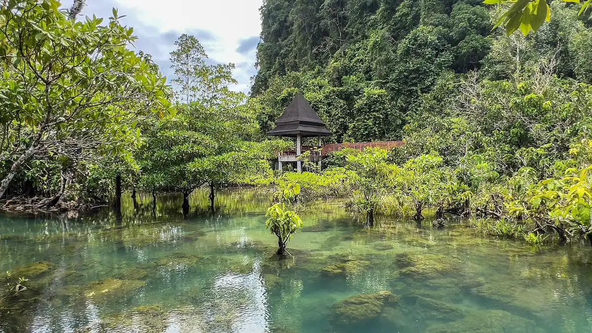 The clear stream at Thapom Klong Song Nam among roots and rocks