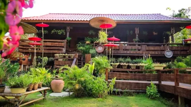 A traditional wooden house with red paper parasols hanging and a potted plant garden in front