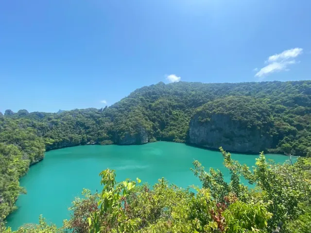 An emerald colored lagoon surrounded by forested hills, branches in the foreground