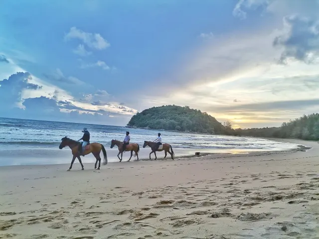 Three riders on horses at the waterline at sunset, a green headland behind