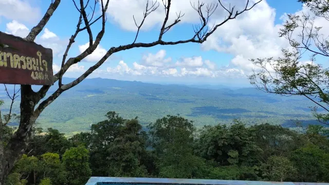 A wide view of green forest and ridges, with a wooden sign in Thai script