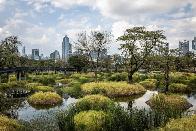 An urban wetland with vegetated islands, wooden boardwalks and a tower skyline behind