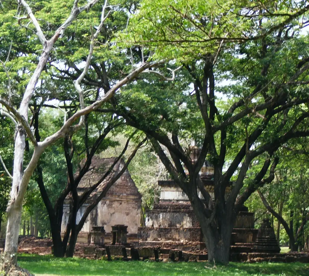 Brick ruins among trees in the Si Satchanalai historical park