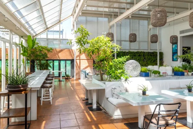 A space covered by a glass roof with white sofas, plants and a terracotta floor