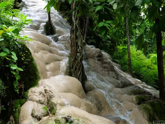 Water running over a pale limestone slope, tree roots and green vegetation