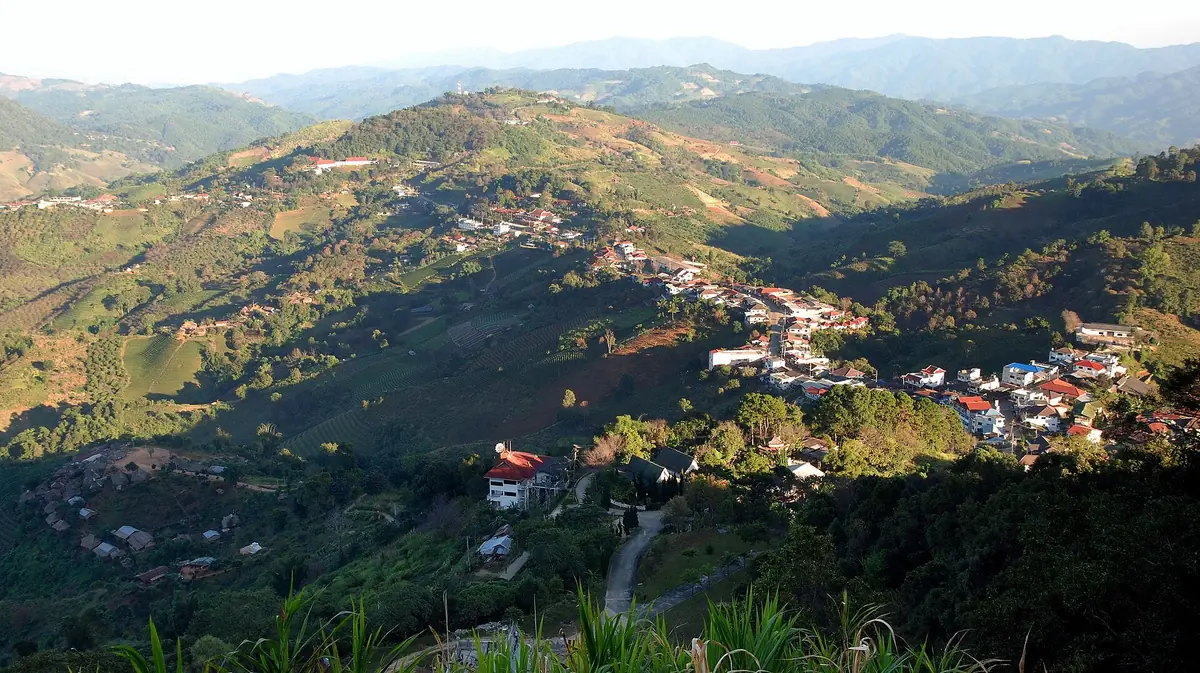 Green ridges and a village spread along the slope at Doi Mae Salong
