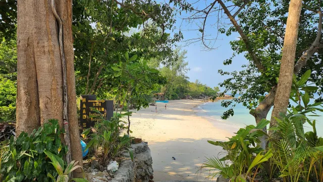 A view between tree trunks toward a white sand beach and small wooden signs