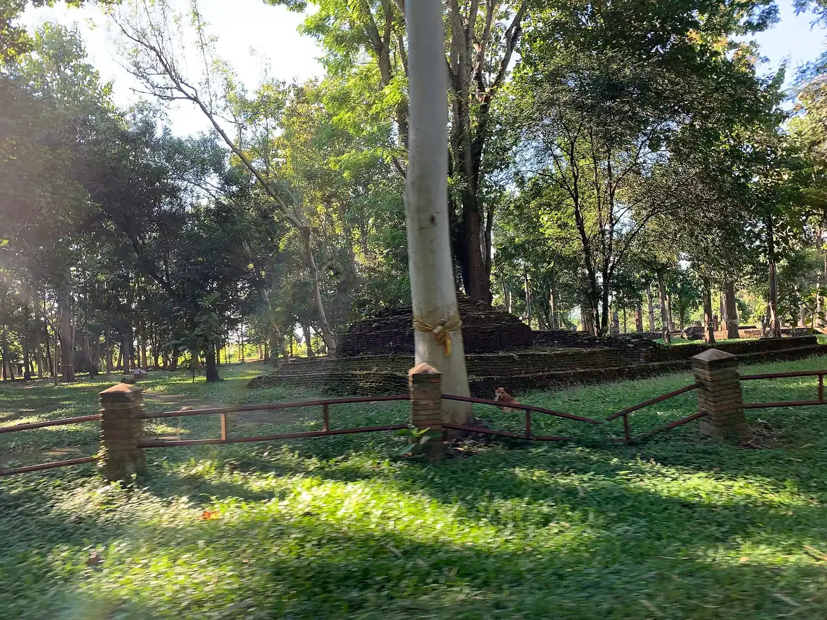 The ruins of Wat Pa Sak at Chiang Saen among the trees