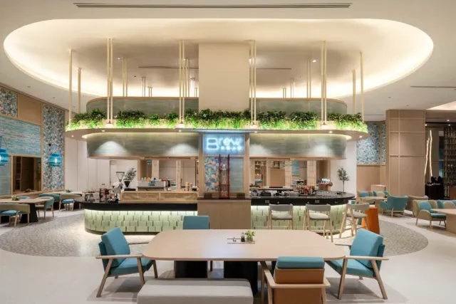 A modern lounge with an elliptical ceiling, a hanging planter band and turquoise armchairs