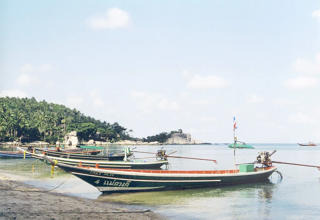 Longtail boats floating on clear turquoise water at a Thai island beach in daylight